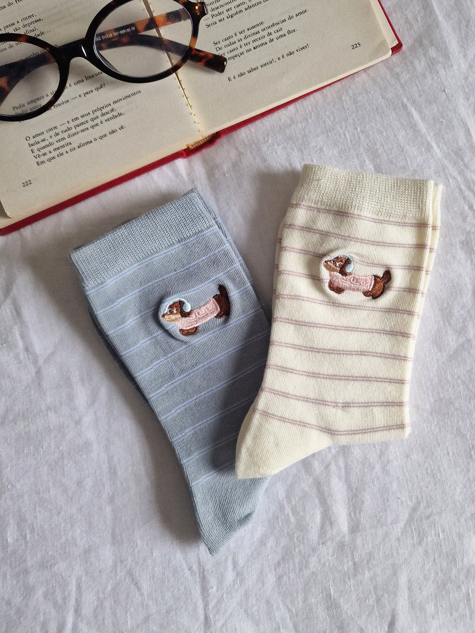 TEDDY SOCKS // DOG