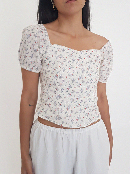 DAISI TOP