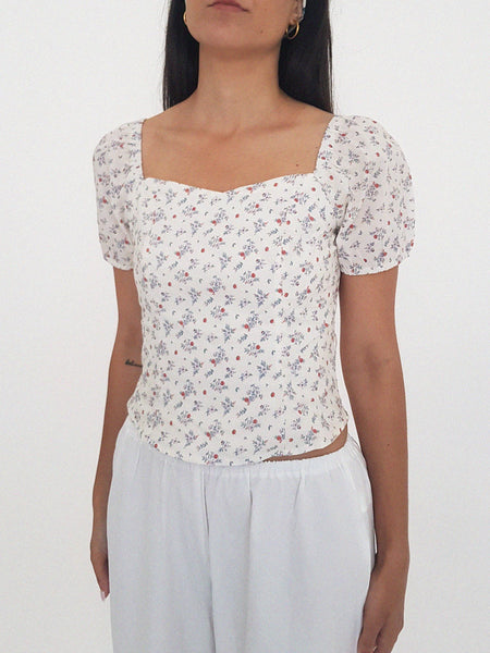 DAISI TOP
