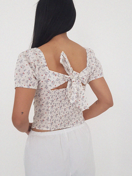 DAISI TOP
